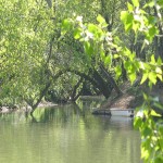 l'embouchure du Rieu-Tord.jpg